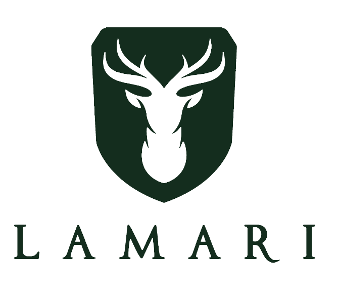 خدمات فروش آرین پارس موتور (لاماری)